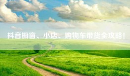 抖音橱窗、小店、购物车带货全攻略！