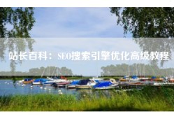 站长百科：SEO搜索引擎优化高级教程