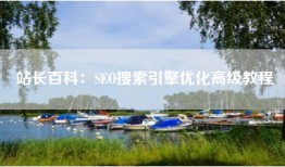 站长百科：SEO搜索引擎优化高级教程