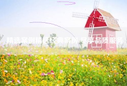 精选案例精选经典案例 尽享品质服务