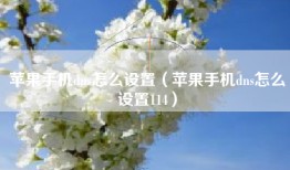 苹果手机dns怎么设置（苹果手机dns怎么设置114）