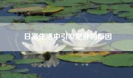 日常生活中引发肥胖的原因
