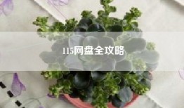115网盘全攻略