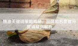 精准关键词策略揭秘，品牌知名度提升营销案例解析