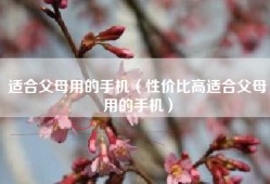 适合父母用的手机（性价比高适合父母用的手机）