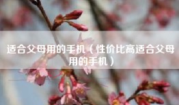 适合父母用的手机（性价比高适合父母用的手机）