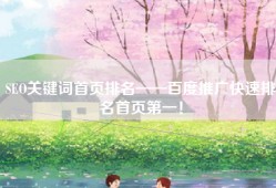 SEO关键词首页排名——百度推广快速排名首页第一！