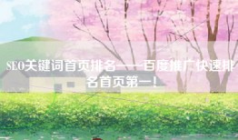 SEO关键词首页排名——百度推广快速排名首页第一！