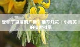 受够了百度的广告？推荐几款『小而美』的搜索引擎