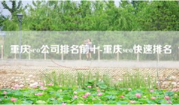 重庆seo公司排名前十-重庆seo快速排名