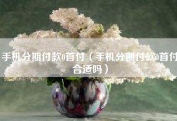 手机分期付款0首付（手机分期付款0首付合适吗）