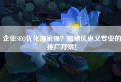 企业SEO优化哪家强？揭秘优惠又专业的推广方案！