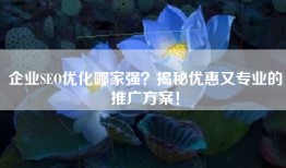 企业SEO优化哪家强？揭秘优惠又专业的推广方案！
