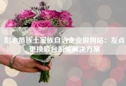 彭水苗族土家族自治企业做网站：友点更换后台系统解决方案