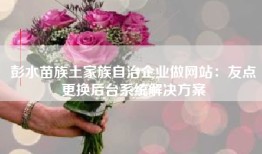 彭水苗族土家族自治企业做网站：友点更换后台系统解决方案