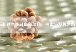 札达县统计局新项目，探索与发展之路