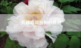 托福培训机构的费用