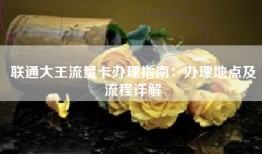 联通大王流量卡办理指南：办理地点及流程详解