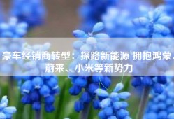 豪车经销商转型：探路新能源 拥抱鸿蒙、蔚来、小米等新势力