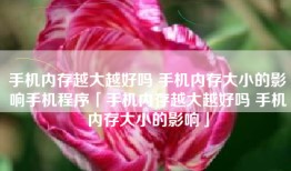 手机内存越大越好吗 手机内存大小的影响手机程序「手机内存越大越好吗 手机内存大小的影响」