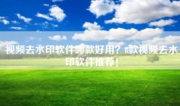 视频去水印软件哪款好用？8款视频去水印软件推荐！