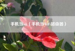 手机当wii（手机当WiFi路由器）