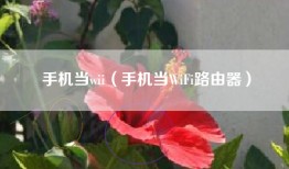手机当wii（手机当WiFi路由器）