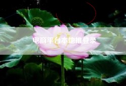 电商平台本地推登录