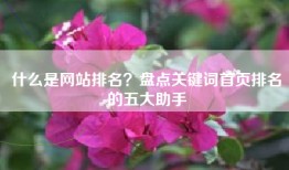 什么是网站排名？盘点关键词首页排名的五大助手