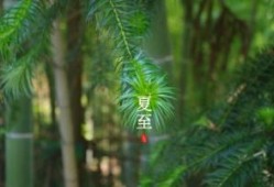 环评工程师在哪里报名？详解报名流程与注意事项