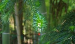 环评工程师在哪里报名？详解报名流程与注意事项