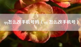 qq怎么改手机号码（qq 怎么改手机号）