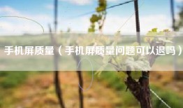 手机屏质量（手机屏质量问题可以退吗）