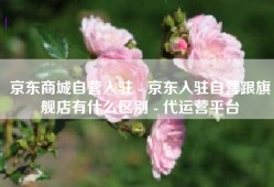京东商城自营入驻 - 京东入驻自营跟旗舰店有什么区别 - 代运营平台