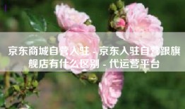 京东商城自营入驻 - 京东入驻自营跟旗舰店有什么区别 - 代运营平台