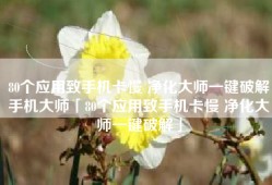 80个应用致手机卡慢 净化大师一键破解手机大师「80个应用致手机卡慢 净化大师一键破解」