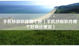 手机炒股软件哪个好（手机炒股软件哪个好用还便宜）