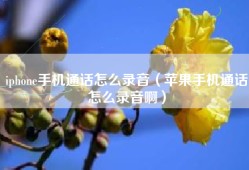 iphone手机通话怎么录音（苹果手机通话怎么录音啊）