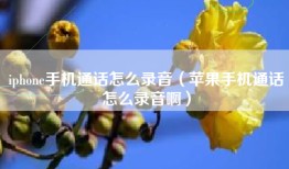 iphone手机通话怎么录音（苹果手机通话怎么录音啊）