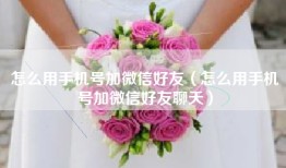 怎么用手机号加微信好友（怎么用手机号加微信好友聊天）