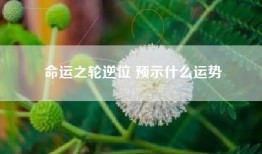 命运之轮逆位 预示什么运势