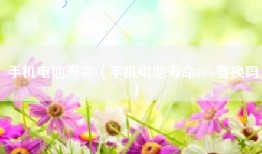 手机电池寿命（手机电池寿命80%要换吗）