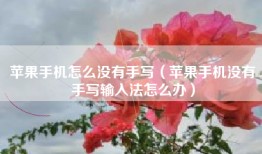 苹果手机怎么没有手写（苹果手机没有手写输入法怎么办）