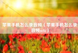 苹果手机怎么录音频（苹果手机怎么录音频m4a）