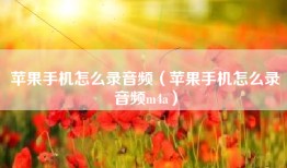 苹果手机怎么录音频（苹果手机怎么录音频m4a）