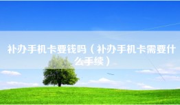 补办手机卡要钱吗（补办手机卡需要什么手续）