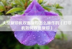 大型复印机双面复印怎么操作的（打印机如何双面复印）