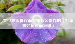 大型复印机双面复印怎么操作的（打印机如何双面复印）