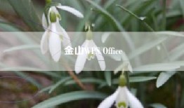 金山WPS Office