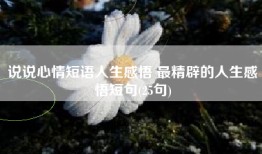 说说心情短语人生感悟 最精辟的人生感悟短句(25句)